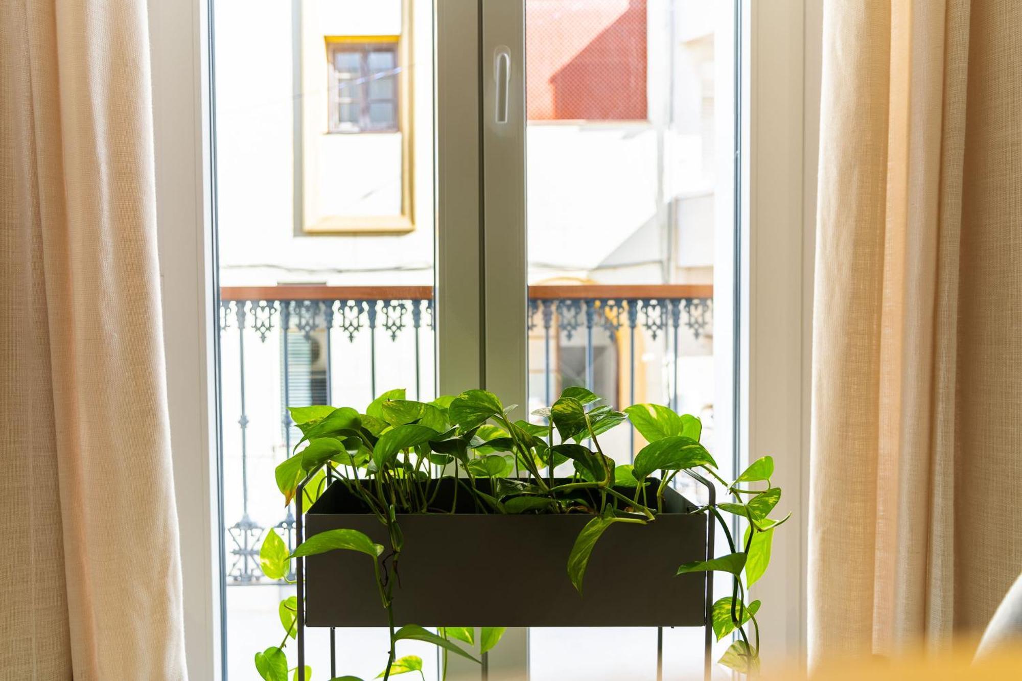 Casa De La Vega Suites Chiclana de la Frontera Exteriér fotografie